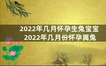 2022年几月怀孕生兔宝宝 2022年几月份怀孕属兔